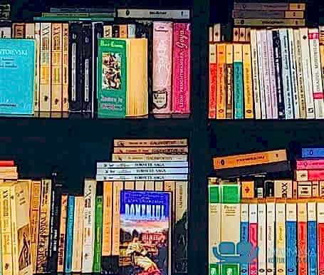 Kitap Desenli Koltuk Döşeme Kumaşı